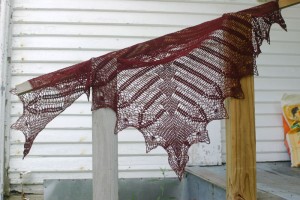 Dragonfly Shawl