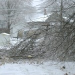 Ice Storm, back of house