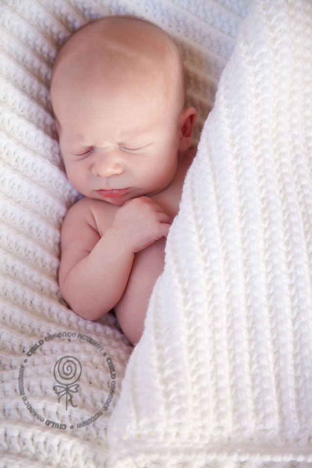 Sierra Trails Afghan Sierra Trails Afghan